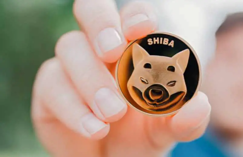 Shiba Inu crypto avis : investir dans cette cryptomonnaie