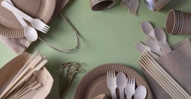 Pourquoi choisir de la vaisselle jetable recyclable pour vos événements ?