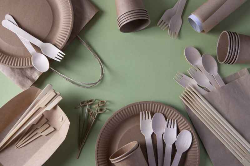Pourquoi choisir de la vaisselle jetable recyclable pour vos événements ?