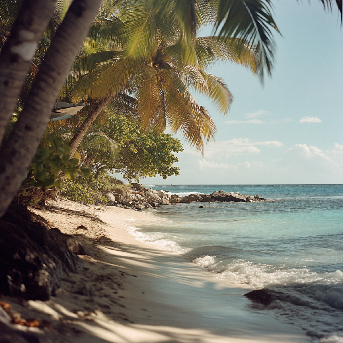 Déterminer le meilleur moment pour un voyage réussi en Guadeloupe