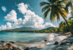 Quand partir en Guadeloupe : les meilleures périodes pour visiter l'île
